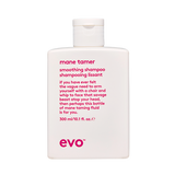 Evo - mane tamer smoothing shampoo 300ml