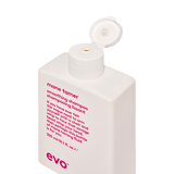 Evo - mane tamer smoothing shampoo 300ml